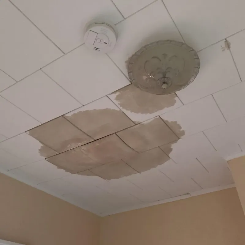 Ceiling Water Damage Repair in North Branford, CT