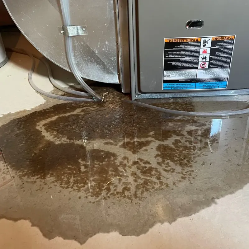 Pipe Burst and Leak Restoration in North Branford, CT