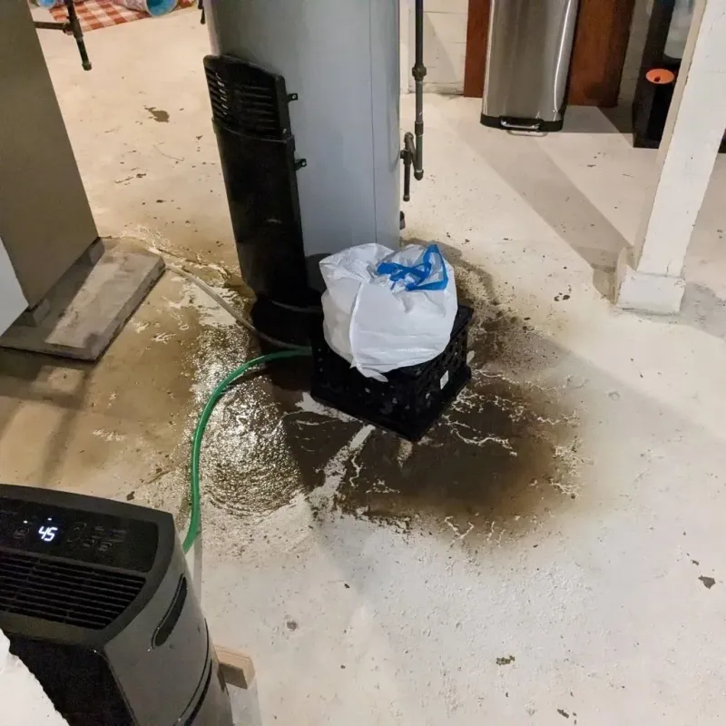 Sewage Backup Cleanup Service in North Branford, CT